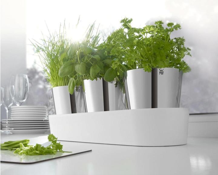 Immagine prodotto WMF Giardinetto di erbe aromatiche (14 cm)