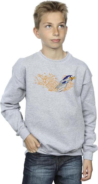 Actual product image Looney Tunes Boys ACME Doodles Road Runner Sweatshirt (152, 158)