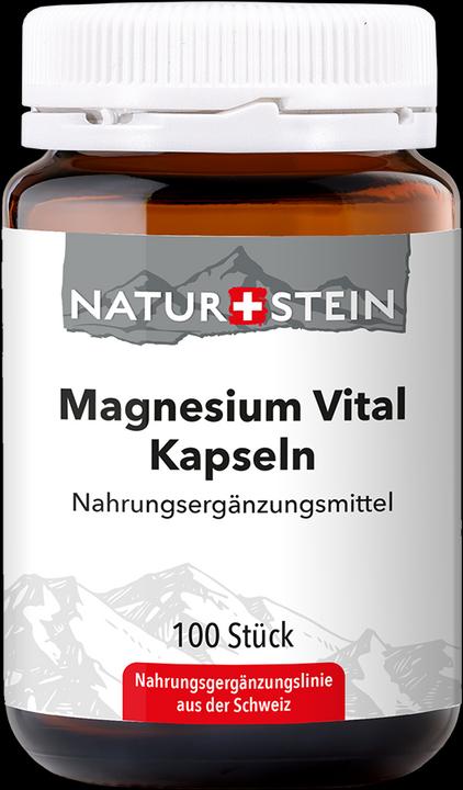 Produktbild Naturstein Magnesium Vital (100 Stück, Kapseln, 168 g)