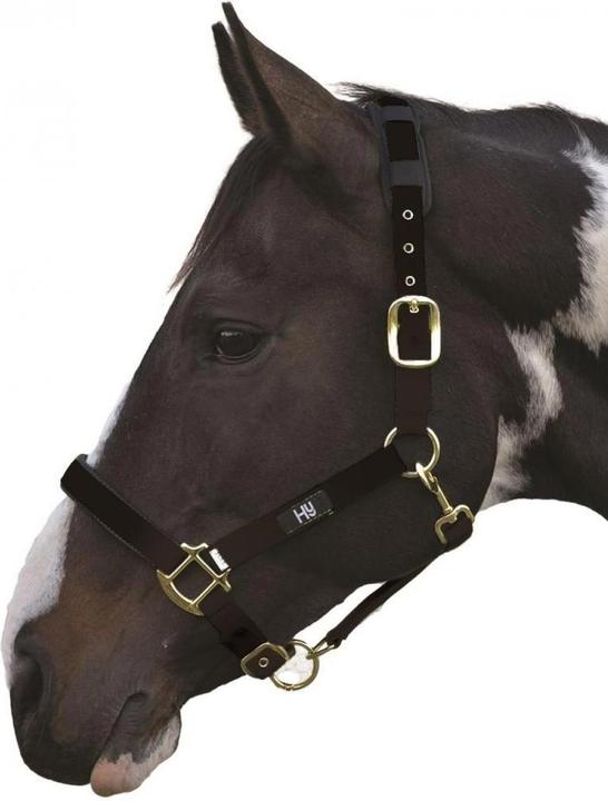 Actual product image Hy Health Hy Deluxe Halter padded