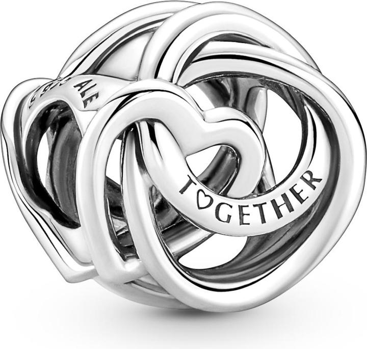 Image du produit Pandora Charm Famille pour toujours (Argent sterling 925)