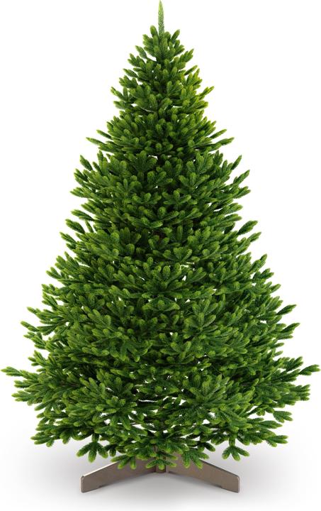 Immagine prodotto Artitree Albero di Natale da 150 cm con supporto in legno FSC (150 cm)