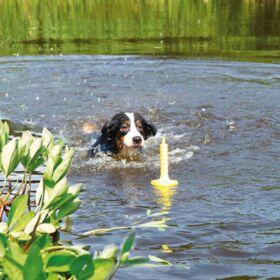 Image du produit Trixie Dog Activity Mot-Aqua 29cm (Jouet à lancer chien)