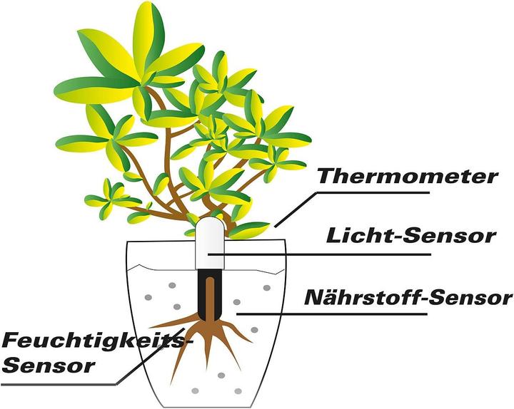 Produktbild Royal Gardineer 4in1-Pflanzensensor (Bewässerungssensor)