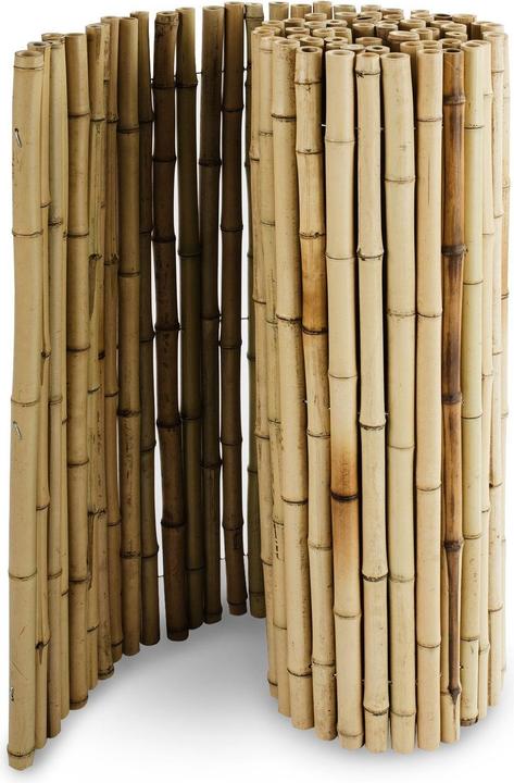 Produktbild Casa Pura Bambus-Sichtschutzzau (250 cm)