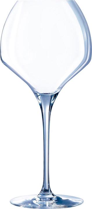 Bicchieri