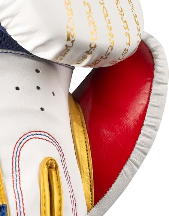 Actual product image Phantom Athletics Muay Thai Boxing Gloves (16 OZ, One size)