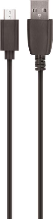 Actual product image Setty USB cable 1m 2A micro USB black R (1 m, USB 1.0)