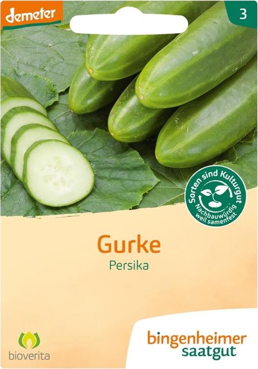 Produktbild Bingenheimer Saatgut Freilandgurke Persika (Keimlinge)