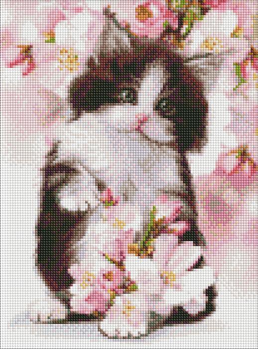 Image du produit Ideyka Diamond Painting - Chaton avec cadre 30 x 40 cm