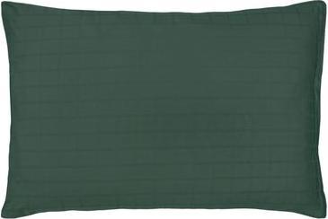 Verde scuro