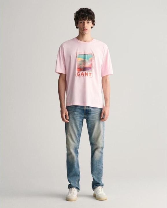 Produktbild GANT t-hirt wahed graphic (S)