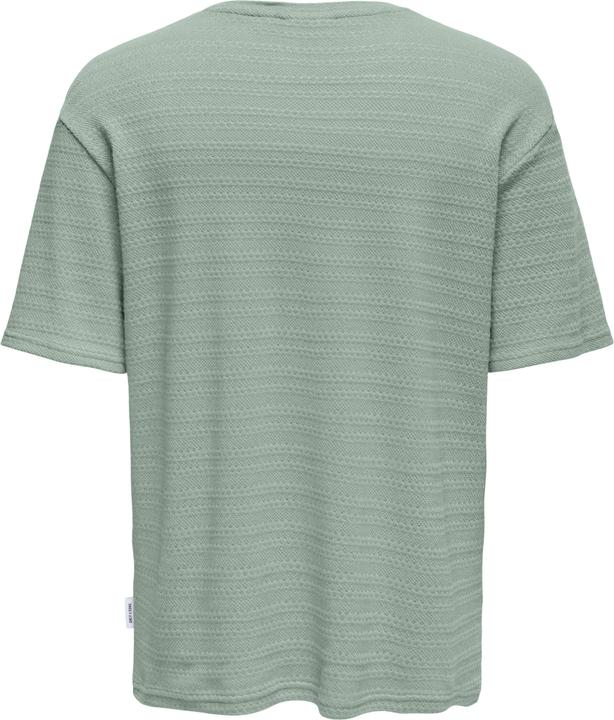 Produktbild Only & Sons T-Shirt Givo Kurzarmshirt (S)
