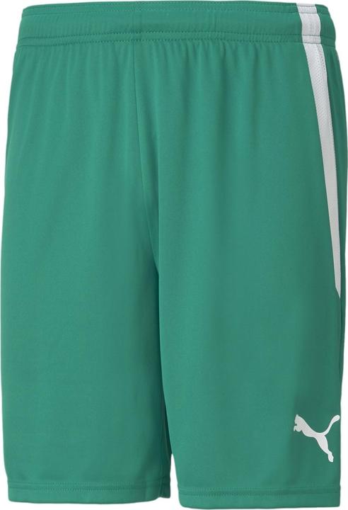 Actual product image Puma teamLIGA shorts (XXL)