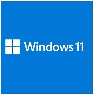 Image du produit Microsoft Windows 11 Pro (FR) (1 Utilisateur, Illimité)