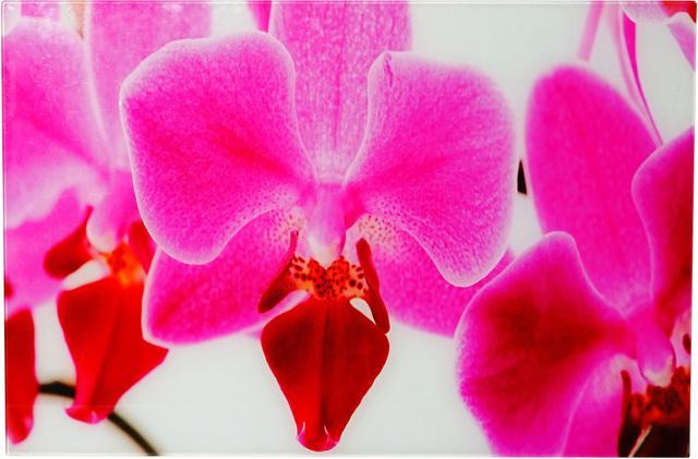 Actual product image Swisshandel24 Glass picture, wall picture poster motif, 40x60cm - Orchid (40 x 60 cm)