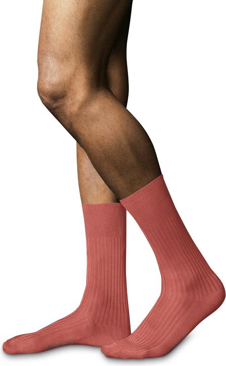 Immagine prodotto Falke N. 10 Calze da uomo Pure Fil d'Écosse (39 - 40)
