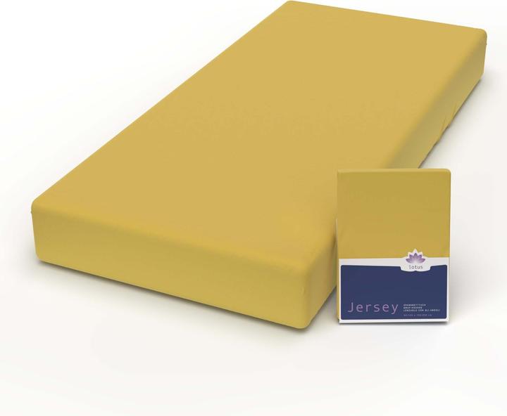 Actual product image Lotus Bettwaren Jersey Fix Comfort (140-160 x 200 cm)