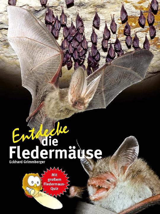 Immagine prodotto Scopri i pipistrelli (Tedesco, Eckhard Grimmberger, 2022)
