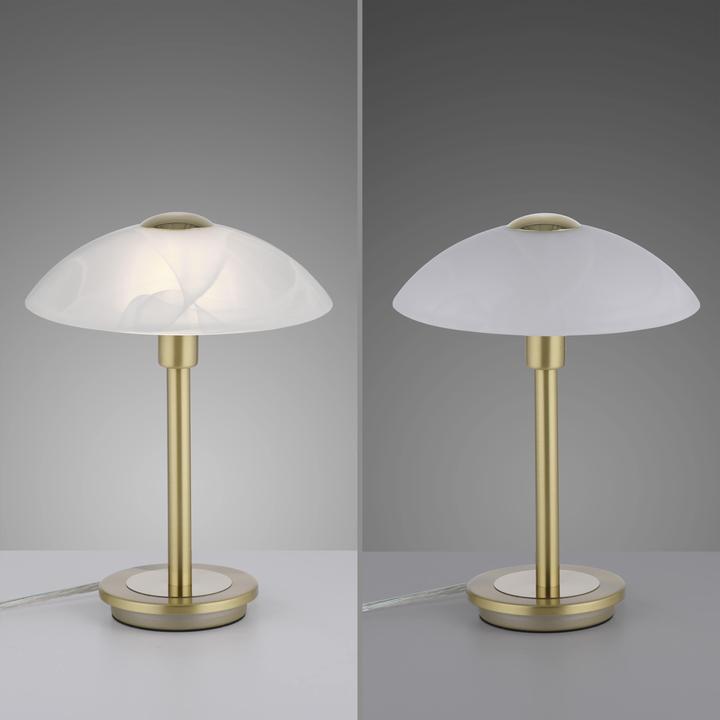 Actual product image Paul Neuhaus Enova (265 lm, G9)