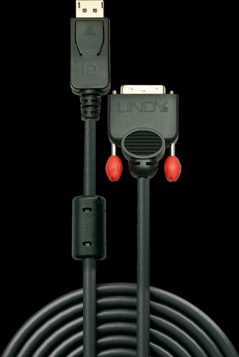 Produktbild Lindy DisplayPort — DVI (0.50 m, DVI, DisplayPort)