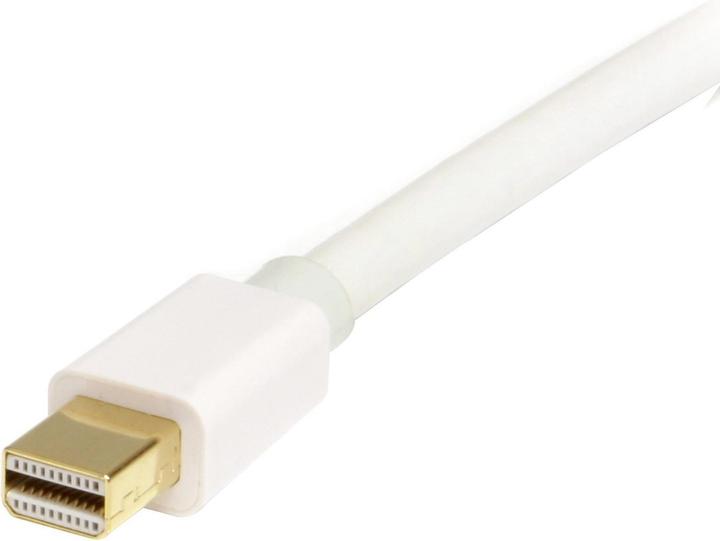 StarTech DisplayPort — Mini DisplayPort (1 m, DisplayPort)