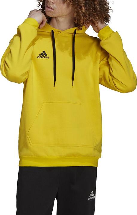 Produktbild adidas Entrada 22 Kapuzenpullover Herren (XL)