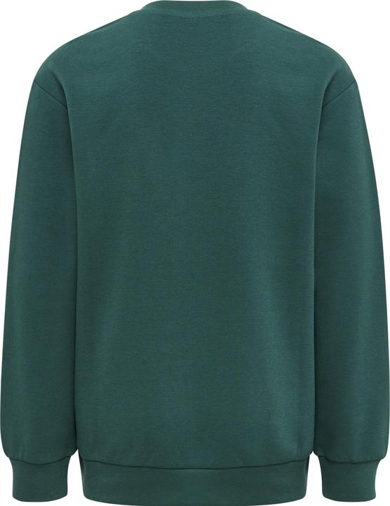 Image du produit hummel Dos Sweatshirt (152)