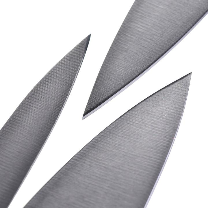 Actual product image Zwilling Four Stars (42 cm)