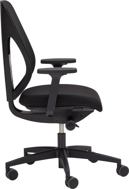 Image du produit Giroflex 353 Netzrücken