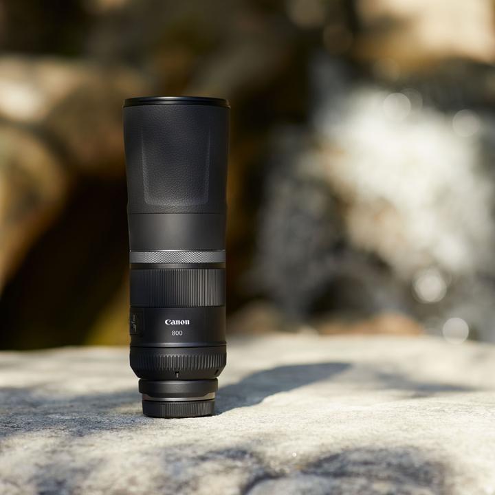 Image du produit Canon RF 800mm f/11 IS STM (Canon RF, Plein format)