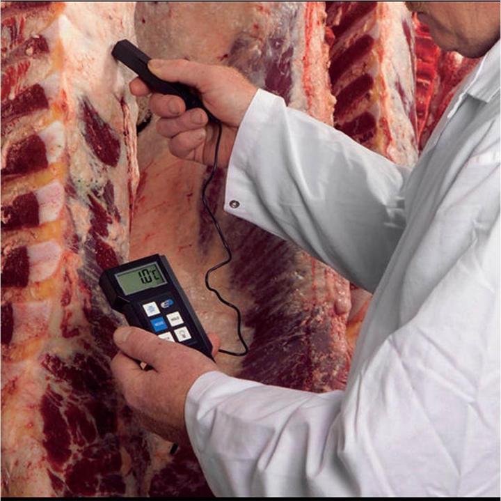 Produktbild TFA P300 Profi-Digitalthermometer 31.1020