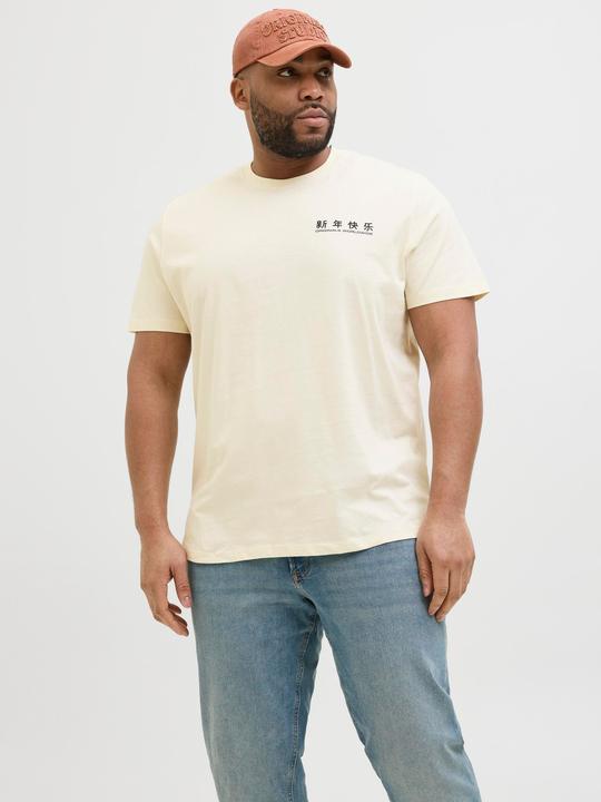 Immagine prodotto Jack & Jones Plus Size Rückenprint T-shirt T-shirt (4XL)