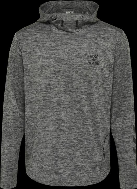 Actual product image hummel Aston Hoodie (L)