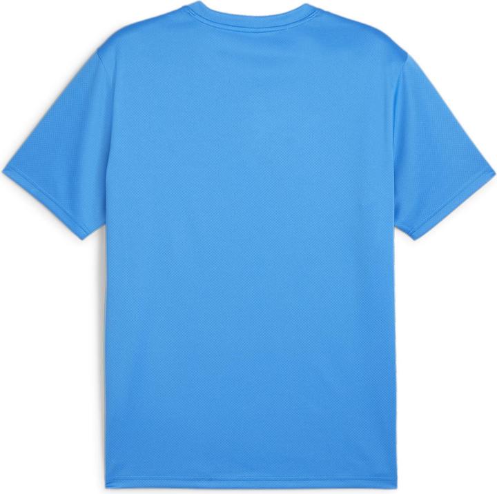 Actual product image Puma teamGOAL Jersey (3XL)
