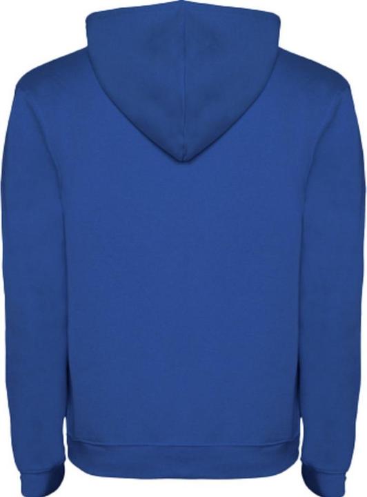 Produktbild Alpinia Urban Kapuzenpullover (L)
