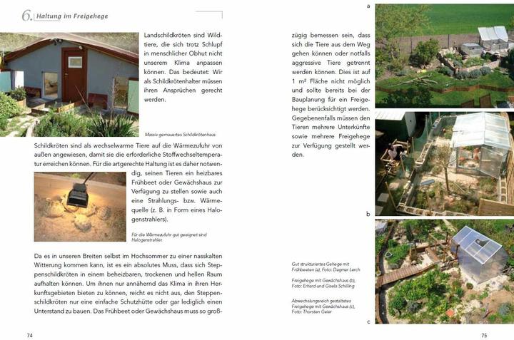 Produktbild Die Haltung der Steppenschildkröten Agrionemys horsfieldii (Deutsch, Ude Fass, 2013)