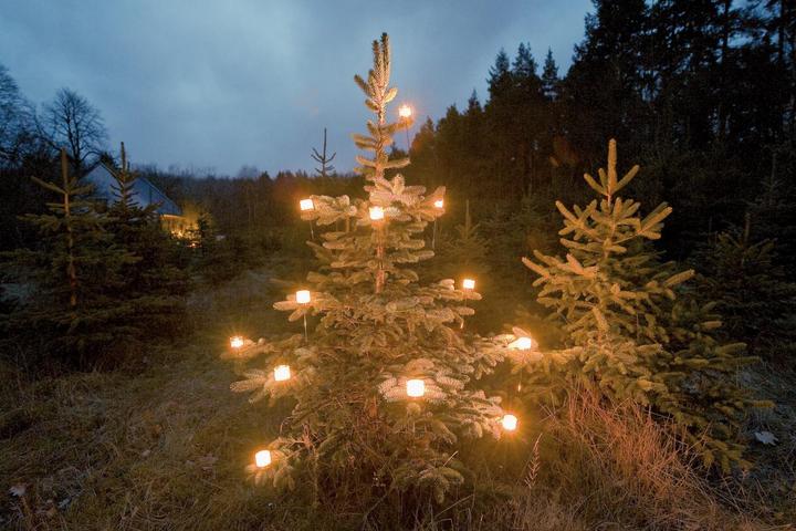 Produktbild Philippi Noël