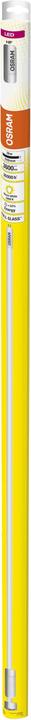 Actual product image Osram T5 Hf (G5, 26 W, 3600 lm, 1 x, E)