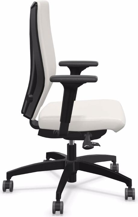 Produktbild Dauphin ST 6855