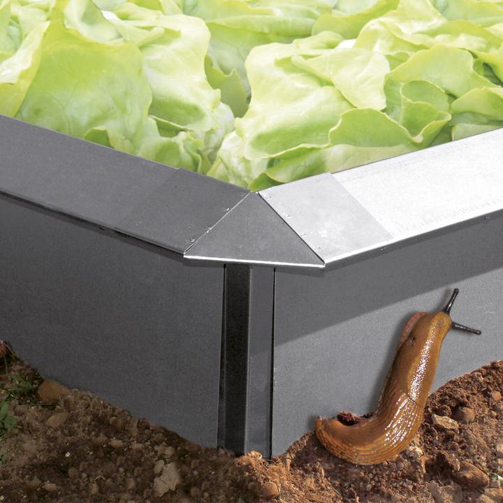 Produktbild Bellissa Schneckenblech (100 cm)