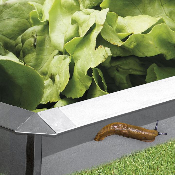 Produktbild Bellissa Schneckenblech (100 cm)