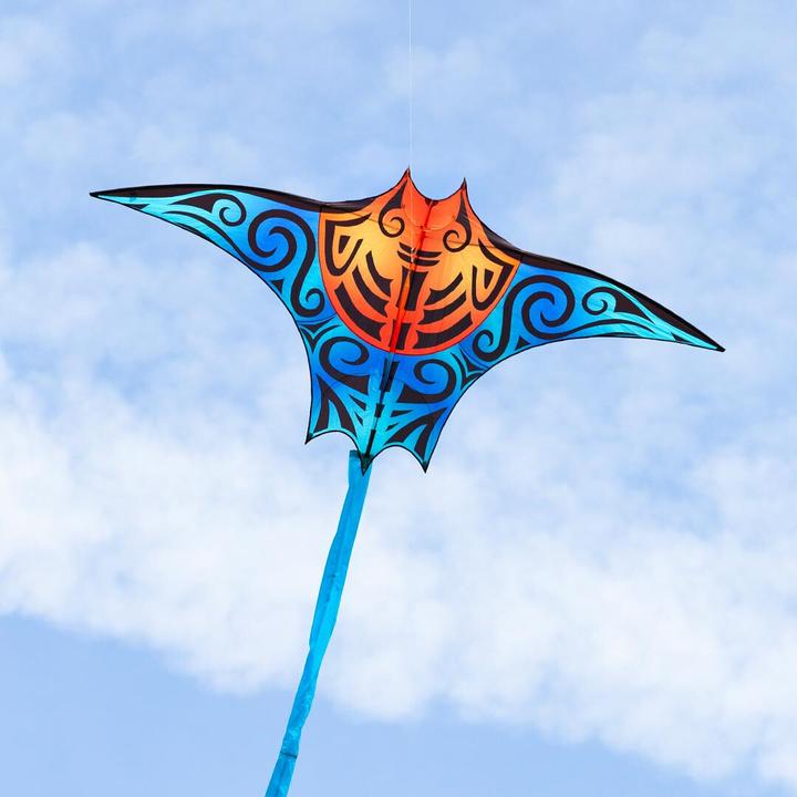 Image du produit Invento Manta Kite