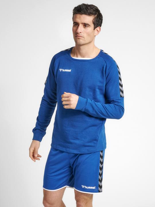 Image du produit hummel Sweat D'Entraînement Authentique (S)