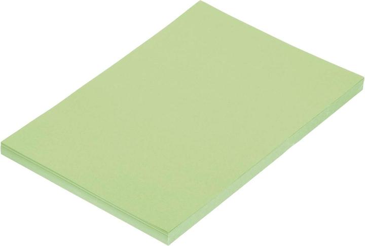 Immagine prodotto Folia Carta argilla, DIN A4, 130 g/mq, maigrn (130 g/m², 100 x)