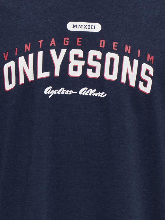 Actual product image Only & Sons Junior Osjlenny Life Reg Vintage Tee Jrs Noos (146)