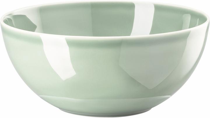 Image du produit Thomas Daily - Moss Green - Saladier 21 cm (20.90 cm, 2 l, 1 x)