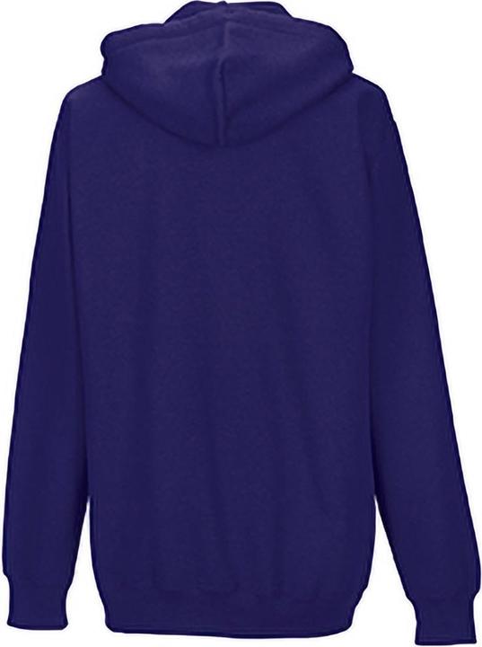 Actual product image Russell Colour hooded pullover Hooded sweatshirt Hoodie (XL)
