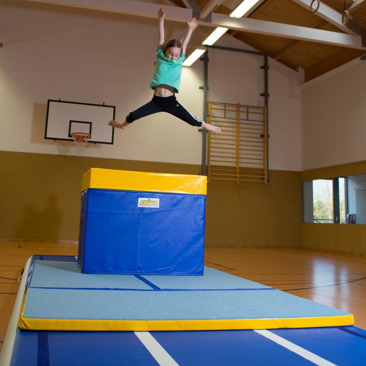 Actual product image Reivo Jumping table Rinogym