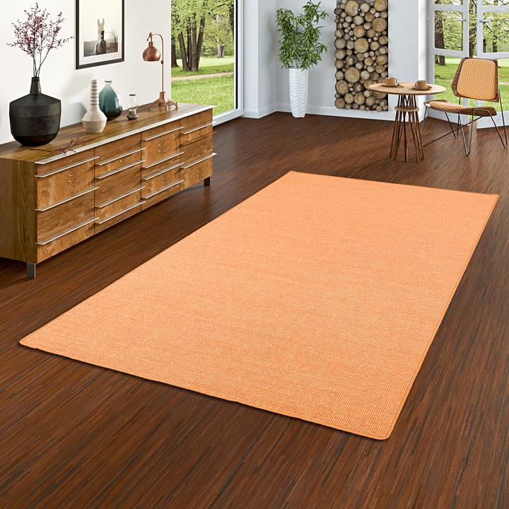 Image du produit Snapstyle Tapis en sisal naturel Classique - 9 coloris en 17 tailles (200 x 300 cm)